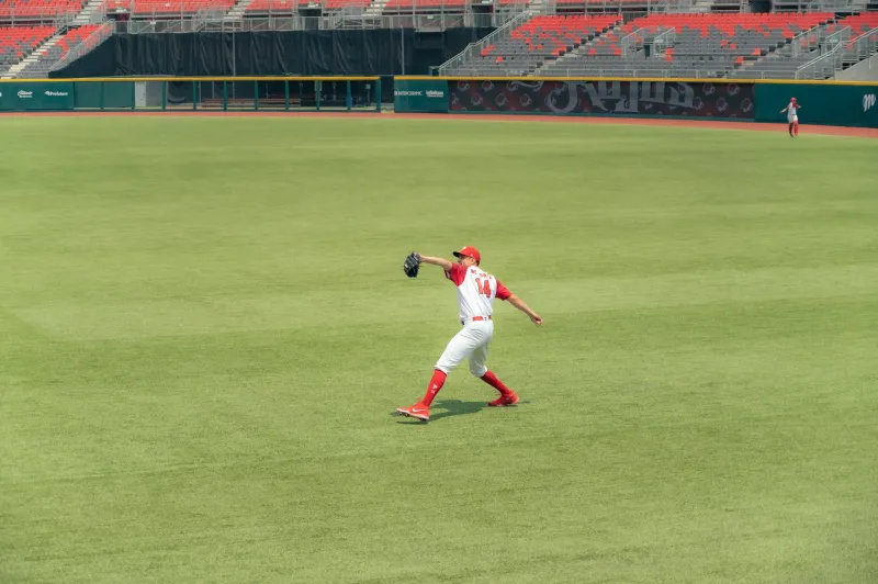 When a Hot Dog Cost a Quarter and Tasted Like Heaven: The Lost World of Affordable Stadium Food